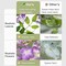 60 Branches Wisteria Hanging Flowers, Artificial Purple Wisteria Flowers Garland